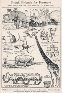 Elephants Prints: Freak Friends for Farmers