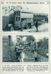 Communication Prints: French Front messenger-pigeon service 1917