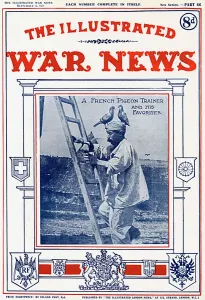 Pigeon Prints: French Pigeon Trainer, Illustrated War News, WW1