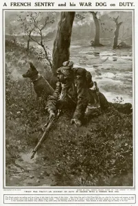 Sentry Prints: A French Sentry and his War Dog on Duty