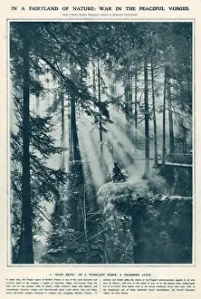 Eastern Prints: A French soldier seated in the idyllic surroundings of the Vosges region of eastern