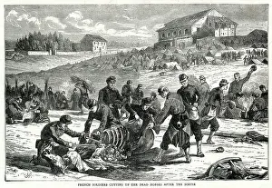 Paris Prints: French Soldiers Cutting Dead Horses Franco Prussian