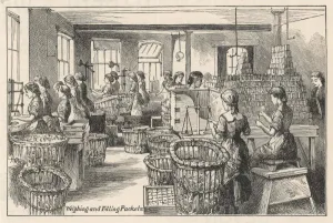 Bristol Prints: Frys Factory - Weighing