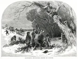 1850s Prints: Gathering Mistletoe 1851