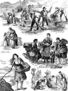 Drying Prints: Gathering seaweed for food, Ireland