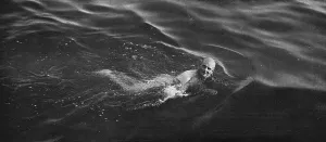 Swim Prints: General Birdwood swimming in the sea at the Dardanelles