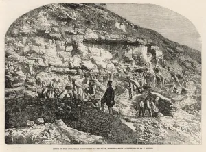 Dorset Prints: Geologists at Swanage