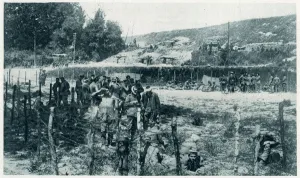 Line Prints: German Prisoners of War 1916