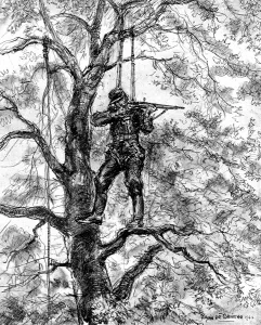 Parachute Prints: German Sniper in a tree, Normandy, 1944