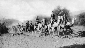 Camel Prints: The German South-West Camel Corps