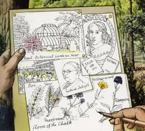 Horticulture Prints: Gertrude Jekyll - Garden designer