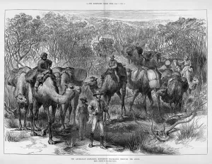 Camel Prints: Giles Australian Trips