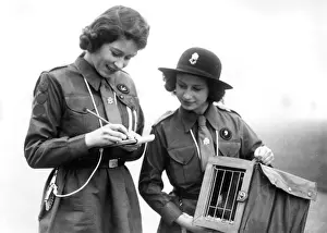Birthday Prints: Girl Guides: Princesses Elizabeth and Margaret send courier