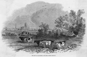 V Iew Prints: GLOUCESTER