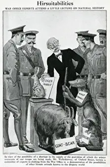 Joke Prints: Goatskin shortages in 1915: humourous alternatives suggested