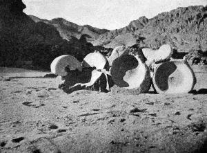 Ancient Prints: Gold in the Land of the Nile. Ancient Gold Crushing Mills