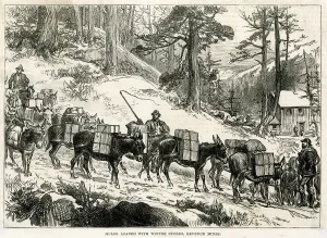 Metals Prints: GOLD MINING / COLORADO