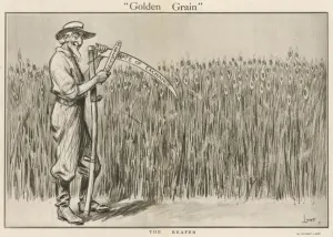 Field Prints: Golden Grain