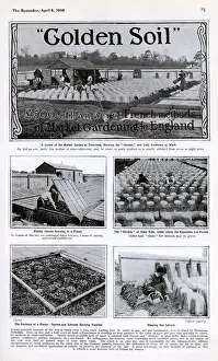 English Prints: Golden Soil: French methods of Market Gardening for England