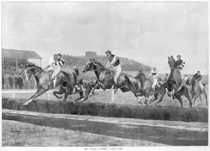Course Prints: Grand National Waterjump