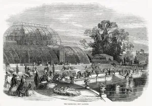 Exterior Prints: The Great Palm House, Kew Gardens 1859