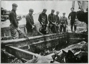 Season Prints: Great Yarmouth - Herring Harvest 1905