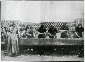 Season Prints: Great Yarmouth - Herring Harvest 1905