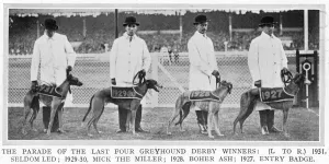 Stadium Prints: Four Greyhound Derby winners