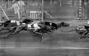 Tracks Prints: Greyhound racing 1927