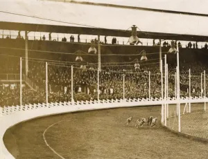Stadium Prints: Greyhound racing