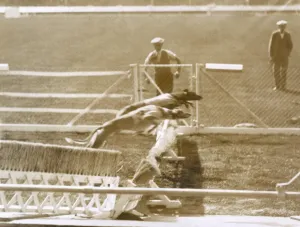 Jumping Prints: Greyhound racing
