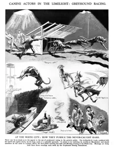 Stadium Prints: Greyhound racing - canine actors in the limelight