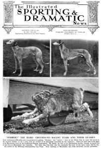 Sporty Prints: Greyhound racing - Cover of Sporting & Dramatic News