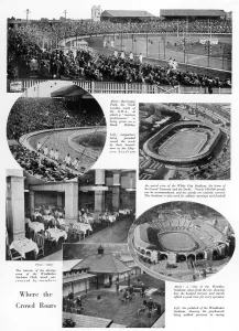 Greyhounds Prints: Greyhound Stadiums in London
