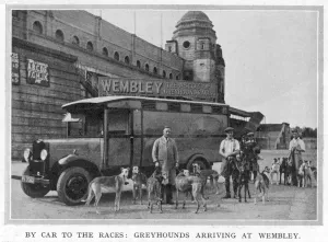 Stadium Prints: Greyhounds arriving at Wembley by car