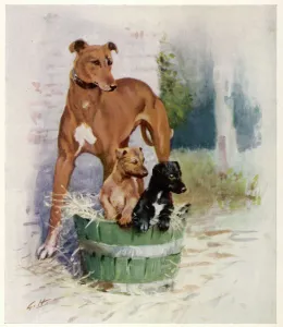 Animal Prints: Greyhounds by Gilbert Holiday
