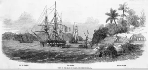 Guiana Prints: Guyane Francaise Iles