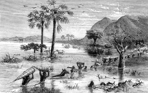 1869 Prints: H. M. Stanleys Expedition crossing the Makata Swamp, Central