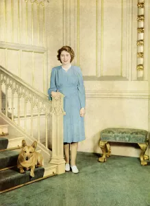 Corgi Prints: H. R. H. Princess Elizabeth, with her pet Welsh Corgi dog