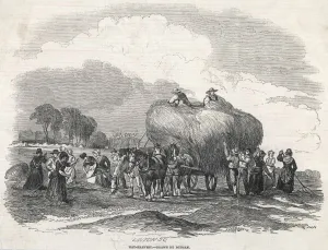 Cart Prints: Harvesting Hay, Duncan