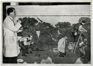 Liner Prints: Heath Robinson and his design for Empress of India murals