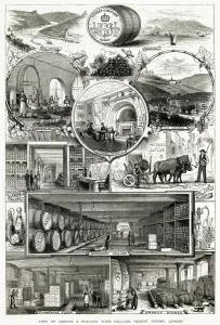Regent Prints: Hedges & Butlers Wine 1890