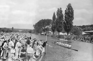 Regatta Prints: Henley Regatta 1936