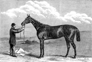 1867 Prints: Hermit, winner of the 1867 Epsom Derby
