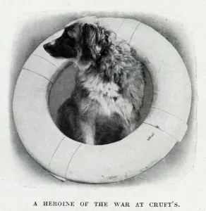 Heroine Prints: A heroine of the war, Lassie of HMS Formidable, WW1