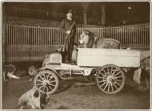 Lion Prints: Herr Julius Seeth and his lions in a car, London Hippodrome