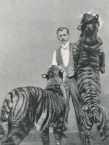 Lion Prints: Herr Sawade