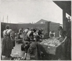 Britain Prints: Herring Fishery on the East Coast 1902