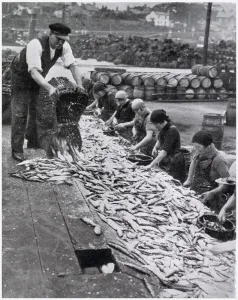 Line Prints: Herring Harvest in Great Yarmouth 1934