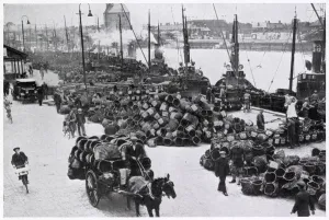 Industry Prints: Herring Harvest in Great Yarmouth 1934